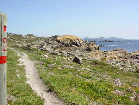 Con Negro. Arte ao natural PRG-116