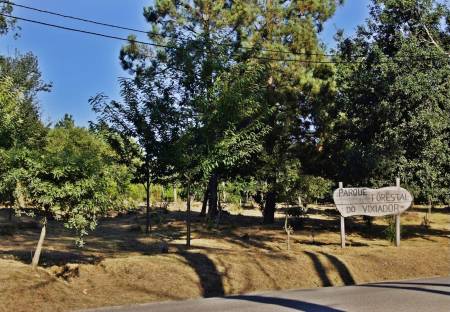 Parque forestal del Vixiador