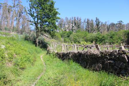 Ruta sendeiro dos Matos