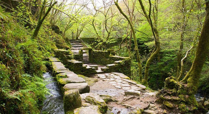 Parque natural Fragas do Eume