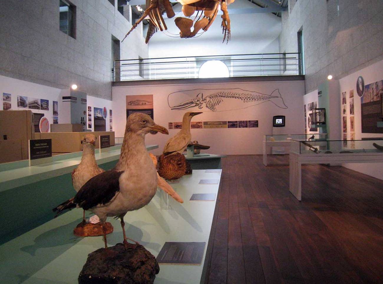 Museo do Mar de Galicia