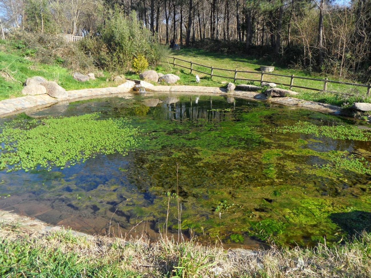 Parque forestal del Vixiador