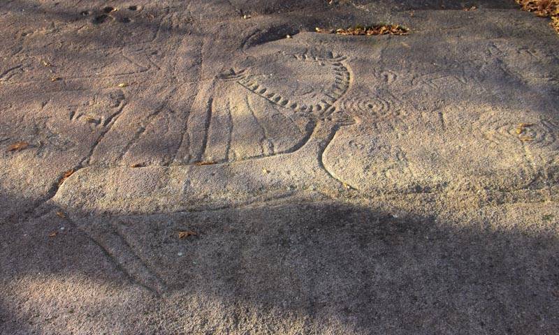 Parque Arqueolóxico Campo Lameiro