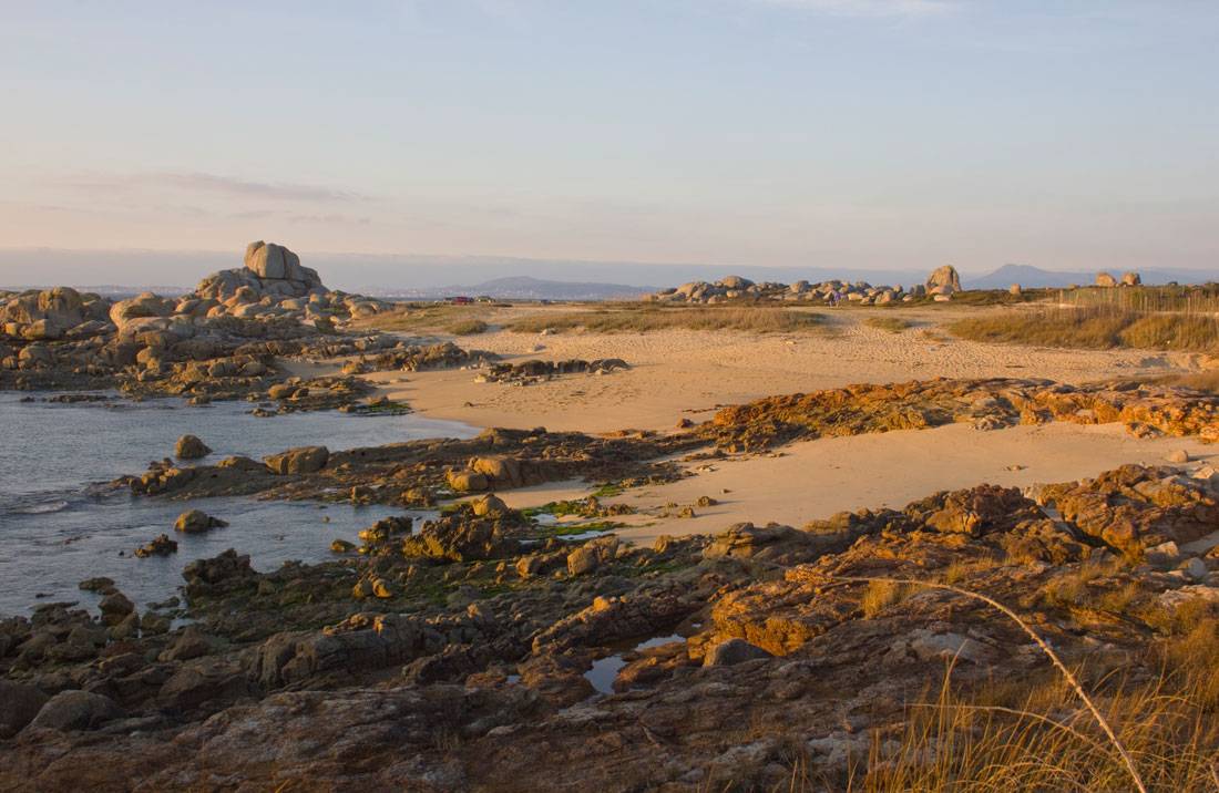 Con Negro. Arte ao natural PRG-116