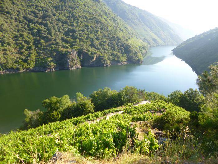 Ruta das pasarelas do Río Mao PR-G 177